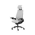 เก้าอี้สุขภาพ Steelcase Gesture Nylon Fiber Glass Ergonomic Chair Grey/Black