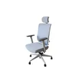 เก้าอี้สุขภาพ Bewell ESTEEM Ergonomic Chair Gray