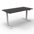 โต๊ะปรับระดับ Ergotrend Sit 2 Stand GEN2A (Dual motor) 75x150 Adjustable Desk Graphite Top + White Frame