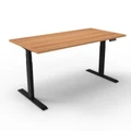 โต๊ะปรับระดับ Ergotrend Sit 2 Stand GEN2A (Dual motor) 75x180 Adjustable Desk Capucino Top + Black Frame