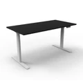โต๊ะปรับระดับ Ergotrend Sit 2 Stand GEN2A (Dual motor) 70x120 Adjustable Desk Black Top + White Frame