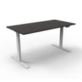 โต๊ะปรับระดับ Ergotrend Sit 2 Stand GEN2A (Dual motor) 70x120 Adjustable Desk Graphite Top + White Frame
