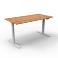 โต๊ะปรับระดับ Ergotrend Sit 2 Stand GEN2A (Dual motor) 70x120 Adjustable Desk Capucino Top + White Frame