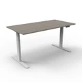 โต๊ะปรับระดับ Ergotrend Sit 2 Stand GEN2A (Dual motor) 70x120 Adjustable Desk Combi Grey Top + White Frame