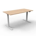 โต๊ะปรับระดับ Ergotrend Sit 2 Stand GEN2A (Dual motor) 70x120 Adjustable Desk Shimo Ash Top + White Frame