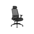 เก้าอี้สุขภาพ Furradec HAIDAR Ergonomic Chair Black