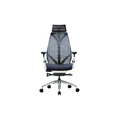 เก้าอี้สุขภาพ DF Prochair iCare Ergonomic Chair White + Seat PU