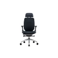 เก้าอี้สุขภาพ DF Prochair Challenge Ergonomic Chair Black + Seat Microfiber