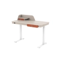 โต๊ะปรับระดับ DF Prochair EHD113 60x120 Adjustable Desk White + Melamine Wood