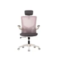 เก้าอี้สุขภาพ WORKSCAPE Luna WCH-00005 Ergonomic Chair Light Black