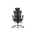 เก้าอี้สุขภาพ Sihoo Ace Ergonomic Chair Basic Black V1-N101