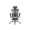 เก้าอี้สุขภาพ Sihoo Ace Ergonomic Chair Ultimate Gray V1-N104