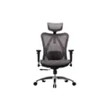 เก้าอี้สุขภาพ Sihoo Comfy Ergonomic Chair Basic Gray M57-N111