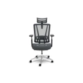 เก้าอี้สุขภาพ Bewell ENFOLD PLUS Ergonomic Chair [ส่งของภายใน 3-7 วันทำการ]