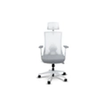 เก้าอี้สุขภาพ Bewell FROZEN Ergonomic Chair White [ส่งของภายใน 3-7 วันทำการ]