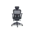 เก้าอี้สุขภาพ Bewell ENCLOSE PLUS Ergonomic Chair Black [ส่งของภายใน 3-7 วันทำการ]
