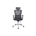เก้าอี้สุขภาพ Furradec Body Ergonomic Chair Black