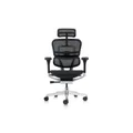 เก้าอี้สุขภาพ DF Prochair Ergo Elite Pro Ergonomic Chair Black