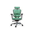 เก้าอี้สุขภาพ DF Prochair Ergo Elite Pro Ergonomic Chair Green