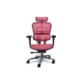 เก้าอี้สุขภาพ DF Prochair Ergo Elite Pro Ergonomic Chair Pink