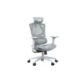 เก้าอี้สุขภาพ Work Station Office Model N Ergonomic Chair No Seat Fan