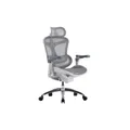 เก้าอี้สุขภาพ Work Station Office Model E Ergonomic Chair Gray No Footrest