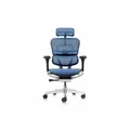 เก้าอี้สุขภาพ DF Prochair Ergo Elite Pro Ergonomic Chair Blue