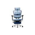 เก้าอี้สุขภาพ DF Prochair Ergo Elite Pro+ Ergonomic Chair Blue