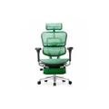 เก้าอี้สุขภาพ DF Prochair Ergo Elite Pro+ Ergonomic Chair Green