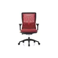เก้าอี้สุขภาพ DF Prochair Poise Ergonomic Chair Red