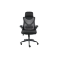 เก้าอี้สุขภาพ Furradec Friendly Ergonomic Chair Black