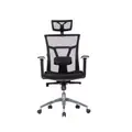 เก้าอี้สุขภาพ WORKSCAPE Varona EM-207E Ergonomic Chair