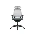 เก้าอี้สุขภาพ WORKSCAPE Unic WCH-00012 Ergonomic Chair