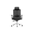 เก้าอี้สุขภาพ FULICO FULI M9 Ergonomic Chair Black