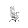 เก้าอี้สุขภาพ Sihoo Homey Ergonomic Chair Light Gray With Footrest A3B-202