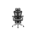 เก้าอี้สุขภาพ Sihoo Homey Ergonomic Chair Black With Footrest A3B-201