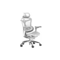 เก้าอี้สุขภาพ Sihoo Homey Ergonomic Chair Light Gray No Footrest A3C-202