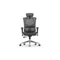 เก้าอี้สุขภาพ Sihoo Warm Ergonomic Chair Black No Footrest M90C-N101