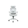 เก้าอี้สุขภาพ DreamDesk X-Light Ergonomic Chair