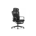 เก้าอี้สุขภาพ Furradec Ryker Ergonomic Chair Black