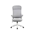 เก้าอี้สำนักงาน Furradec Rolanda Office Chair Grey