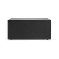 ลำโพง Audio Pro C20 Multi-Room Speaker Black