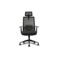 เก้าอี้สุขภาพ Bewell Glory Ergonomic Chair Black [ส่งของภายใน 3-7 วันทำการ]