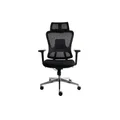 เก้าอี้สุขภาพ Furradec Posture Ergonomic Chair Black
