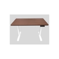 โต๊ะปรับระดับ Fennix Ergonomic 60x120 Adjustable Desk Dark Wood/White