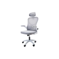 เก้าอี้สุขภาพ Modena Ally 2024 Ergonomic Chair Grey