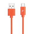Endeavour USB-C 1M Cable - Orange
