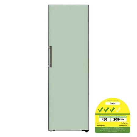 386L 1 Door Refrigerator with Smart Inverter Compressor in Glass Mint - GB-B3863MN