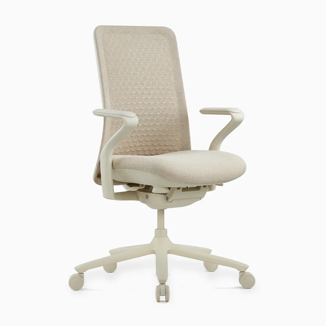 Desky Pro Ergonomic Mesh Chair