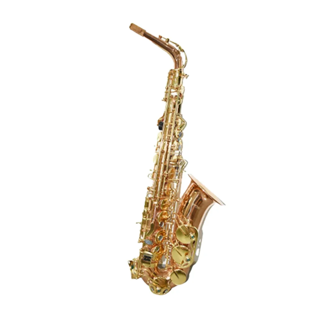 Knight - SAS1010L Alto Saxophone